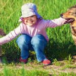 Helping Our Pets Stay Healthy with Hemp Extract