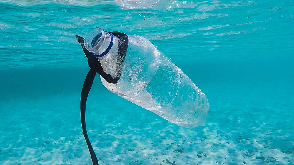 Plastic Bottle Safety—WHAT YOU Need To Know