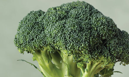 Realizing the Health Benefits of Broccoli Supplements